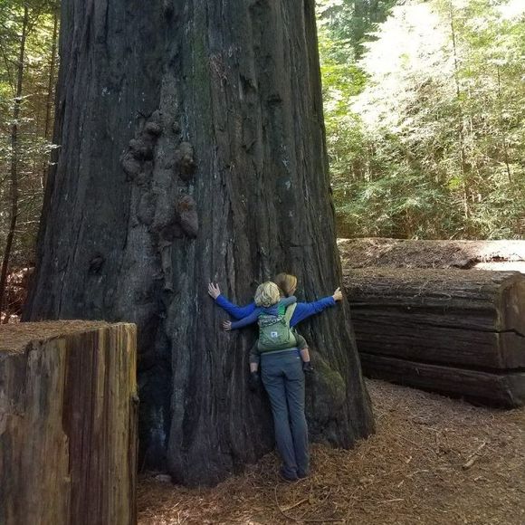 Meet your Posher, Kellie - Picture 1 of 1